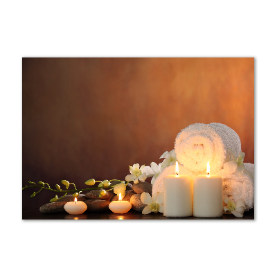 Acrylbild Fotodruck Biologische Regeneration