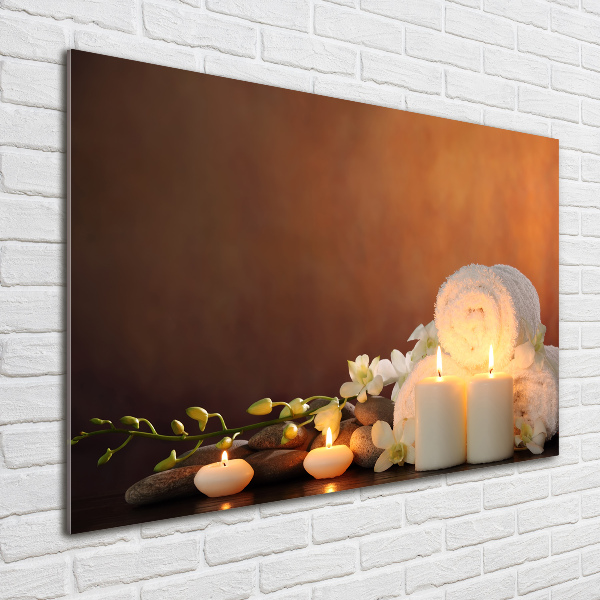 Acrylbild Fotodruck Biologische Regeneration