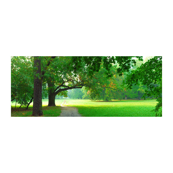 Bild auf Acrylglas Park im Herbst