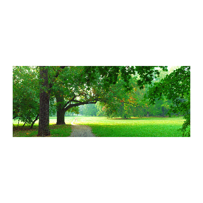 Bild auf Acrylglas Park im Herbst