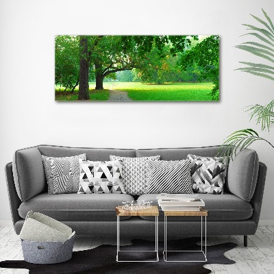 Bild auf Acrylglas Park im Herbst