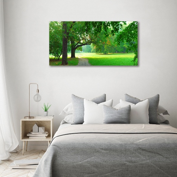 Bild auf Acrylglas Park im Herbst