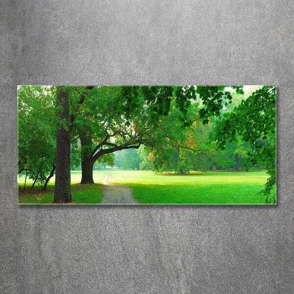 Bild auf Acrylglas Park im Herbst