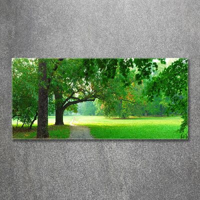 Bild auf Acrylglas Park im Herbst