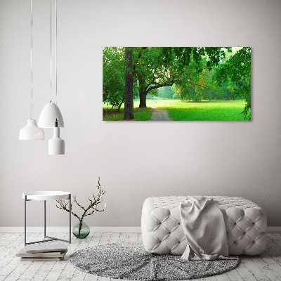 Bild auf Acrylglas Park im Herbst