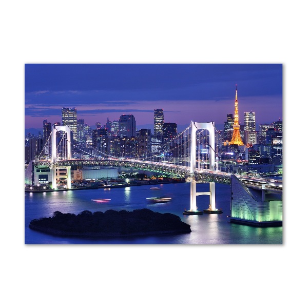 Bild auf Acrylglas Tokio-Brücke