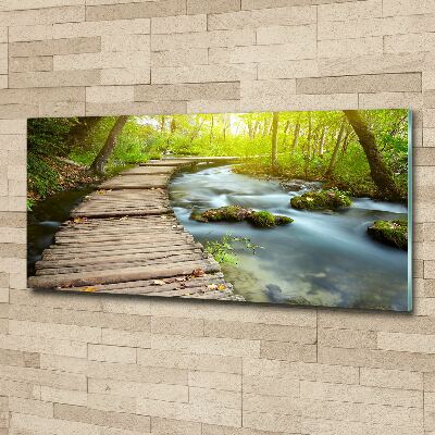 Acrylbild Fotodruck Weg am Fluss