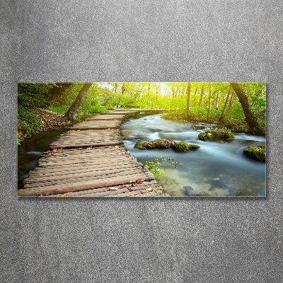 Acrylbild Fotodruck Weg am Fluss