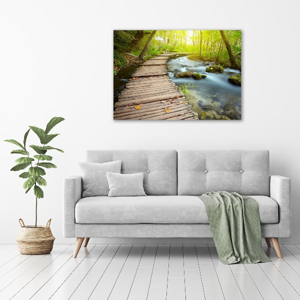 Acrylbild Fotodruck Weg am Fluss