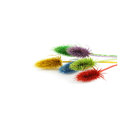 Acrylglas-Druck Distel