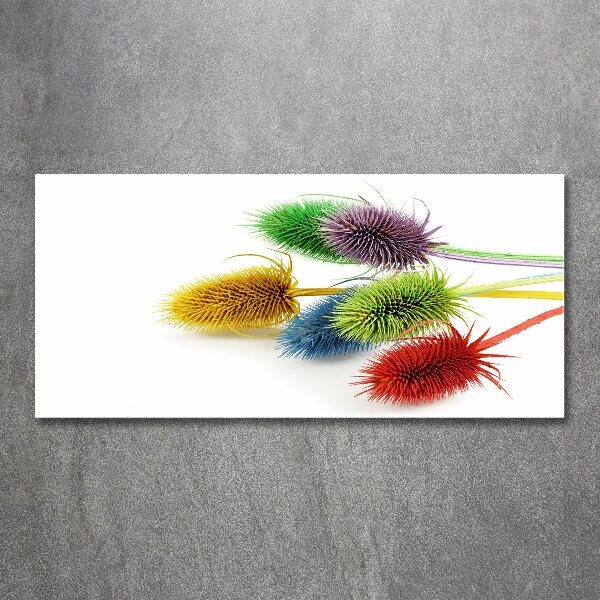 Acrylglas-Druck Distel