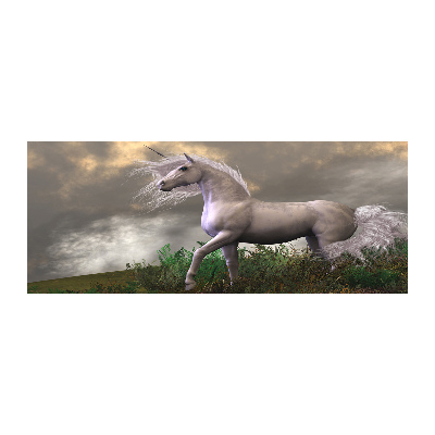 Bild auf Acrylglas Graues Einhorn