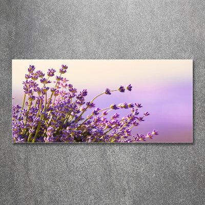 Acrylglas-Druck Lavendel