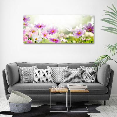 Foto auf Acryl Blumen auf der Wiese