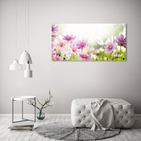 Foto auf Acryl Blumen auf der Wiese