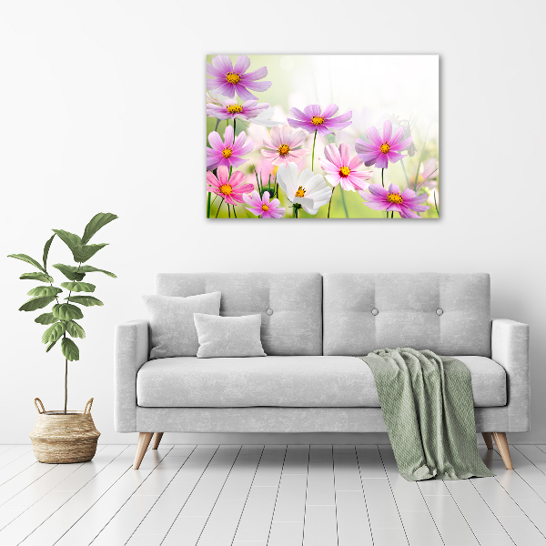 Foto auf Acryl Blumen auf der Wiese