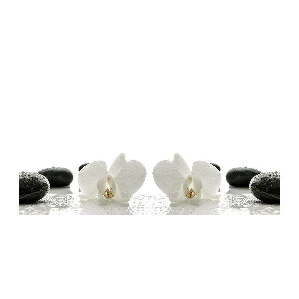 Bild auf Acrylglas Orchidee