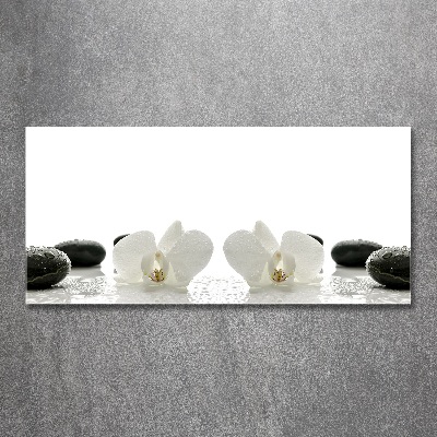 Bild auf Acrylglas Orchidee