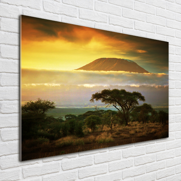 Acrylbild Fotodruck Kilimandscharo, Kenia