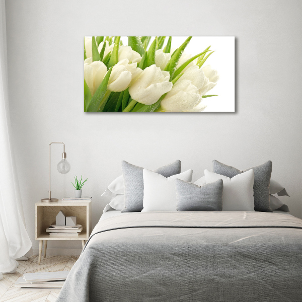 Acrylbild Fotodruck Weiße Tulpen