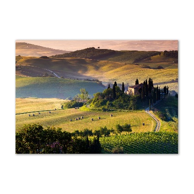 Foto auf Acryl Toskana, Italien