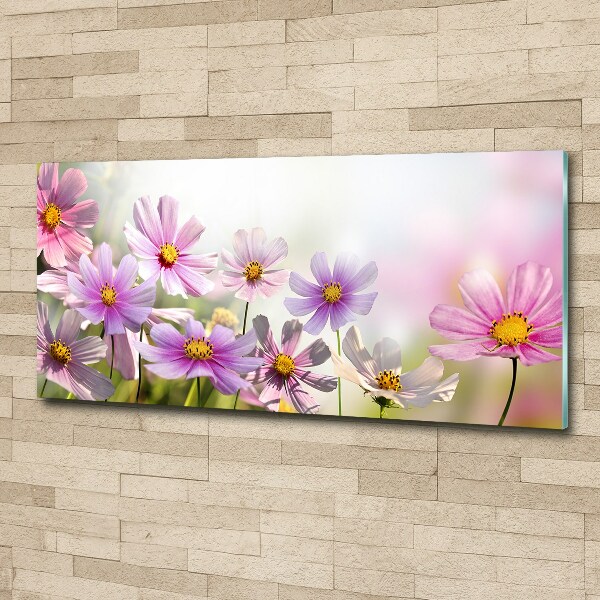 Acrylglas-Druck Blumen auf der Wiese