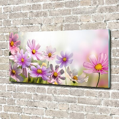 Acrylglas-Druck Blumen auf der Wiese