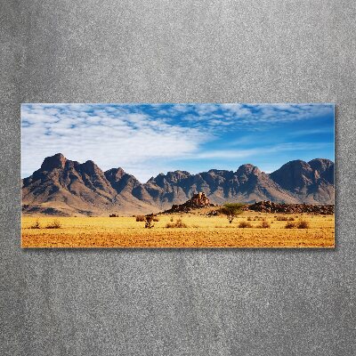 Bild auf Acrylglas Felsen in Namibia