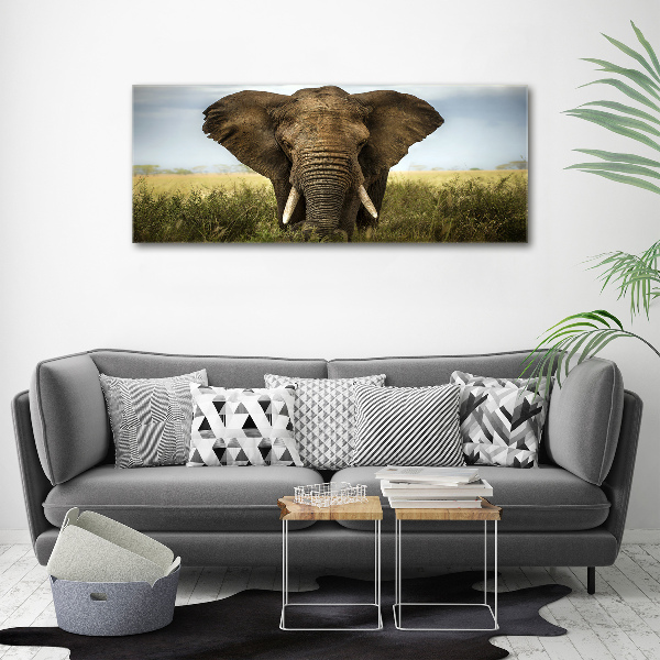 Foto auf Acryl Elefant in der Savanne