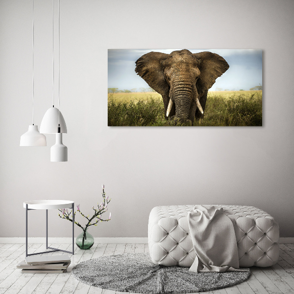 Foto auf Acryl Elefant in der Savanne