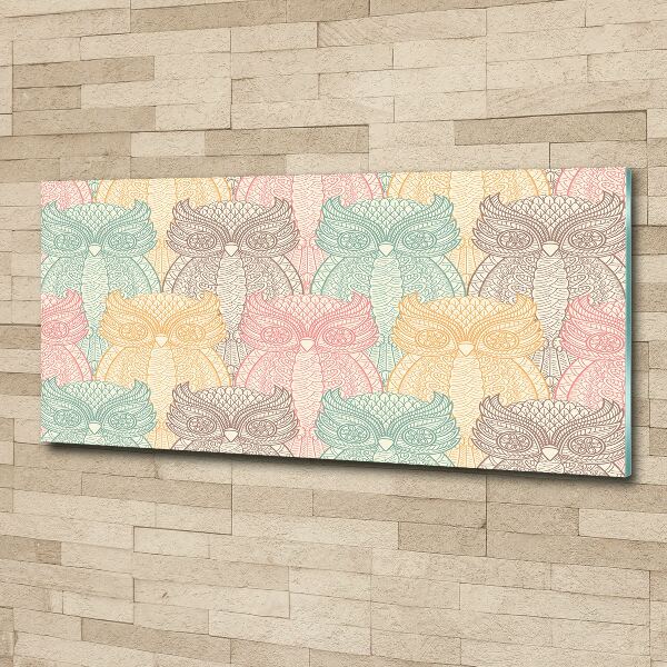 Acrylglas-Druck Eulen