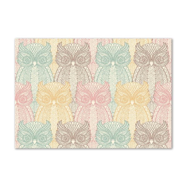 Acrylglas-Druck Eulen