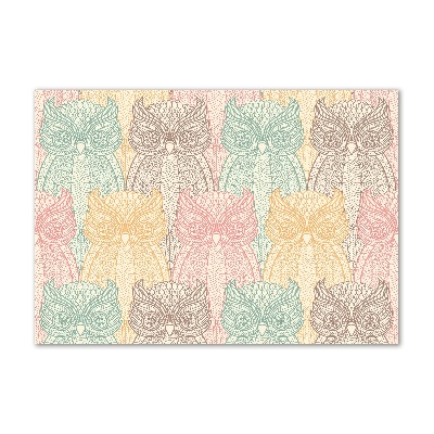 Acrylglas-Druck Eulen