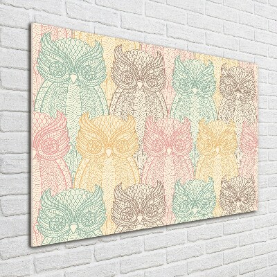 Acrylglas-Druck Eulen