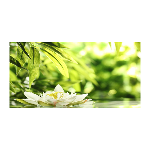 Acrylbild Fotodruck Seerose