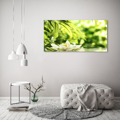 Acrylbild Fotodruck Seerose