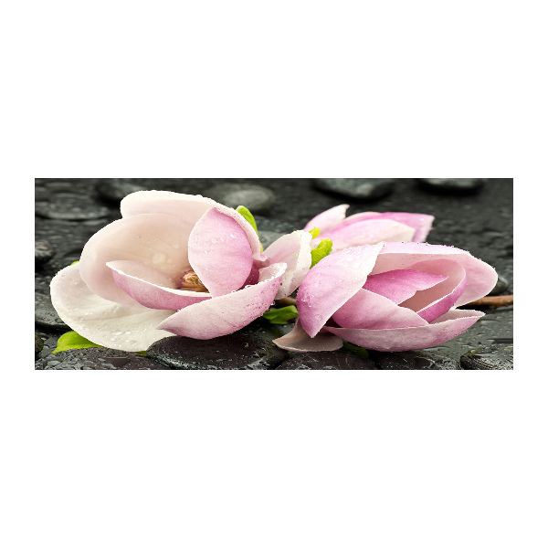 Bild auf Acrylglas Magnolien-Zen-Stein