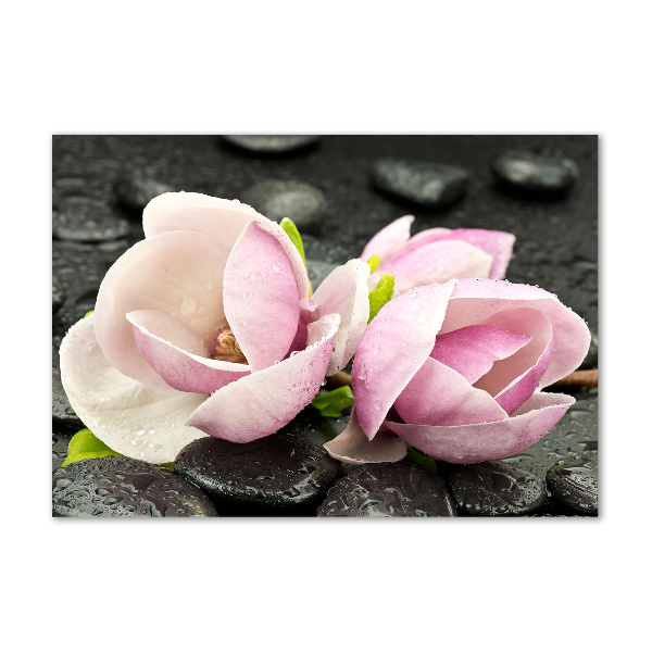 Bild auf Acrylglas Magnolien-Zen-Stein