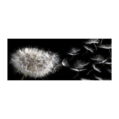 Acrylbild Fotodruck Löwenzahn