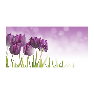 Acrylglas-Druck Lila Tulpen