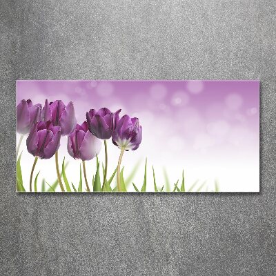 Acrylglas-Druck Lila Tulpen