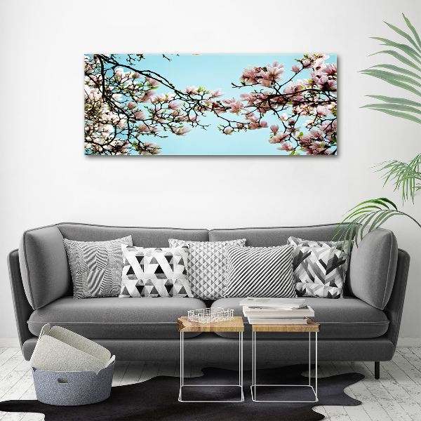 Foto auf Acryl Magnolienblüten