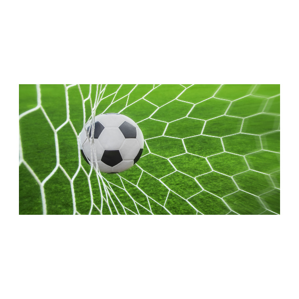 Acrylbild Fotodruck Der Ball ist im Tor
