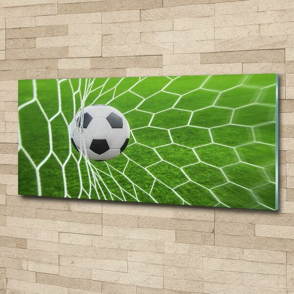 Acrylbild Fotodruck Der Ball ist im Tor