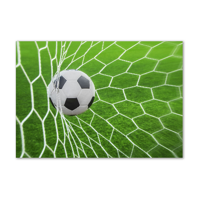 Acrylbild Fotodruck Der Ball ist im Tor