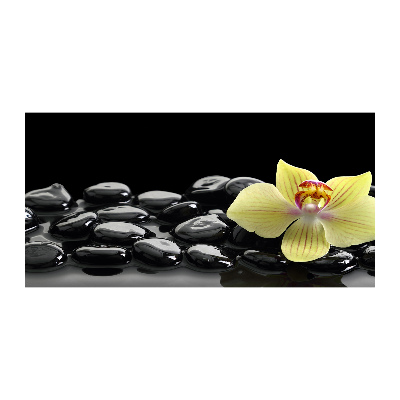 Acrylglas-Druck Orchidee