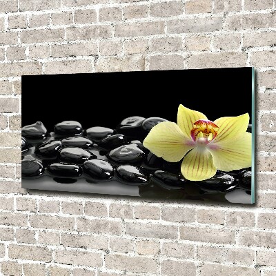 Acrylglas-Druck Orchidee