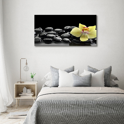 Acrylglas-Druck Orchidee