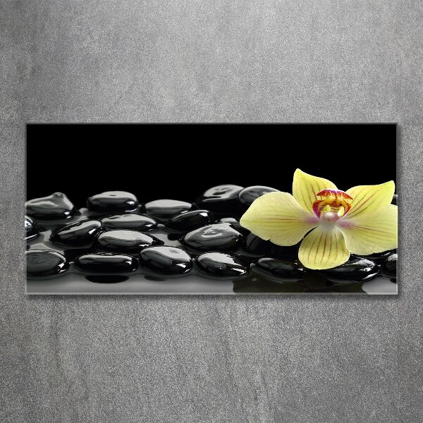 Acrylglas-Druck Orchidee