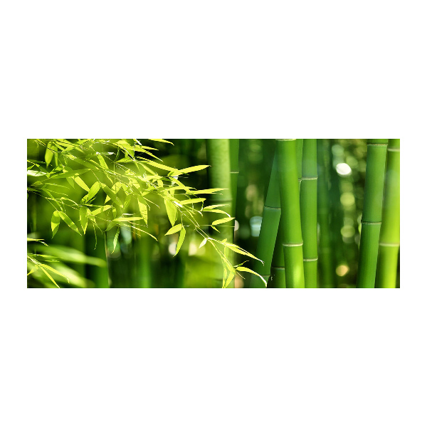 Foto auf Acryl Bambus